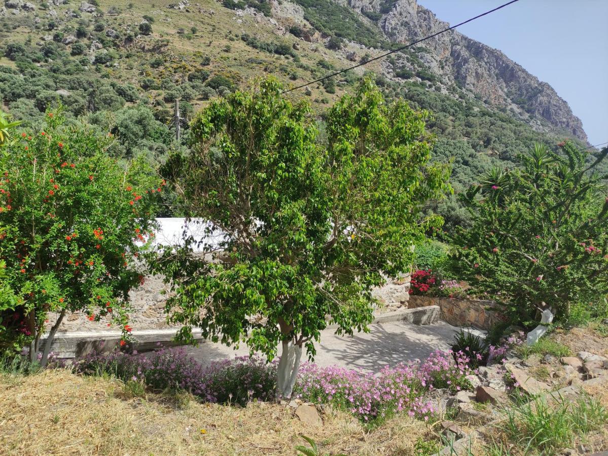 Olga'S Traditional Stone House, Palaiochora Kondokinigi Kültér fotó